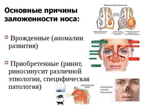 Почему при проколе крыла нос может опухнуть?