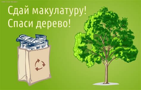 Почему сбор макулатуры так важен для школьников?