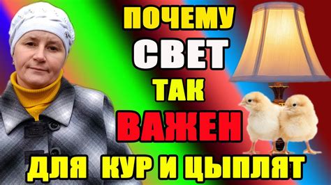 Почему свет Катерины так важен?