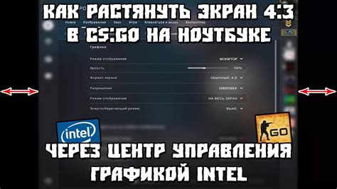 Почему стоит настраивать графику CS GO на ноутбуке с процессором Intel