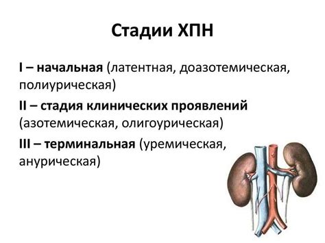 Почечная недостаточность: что это такое?