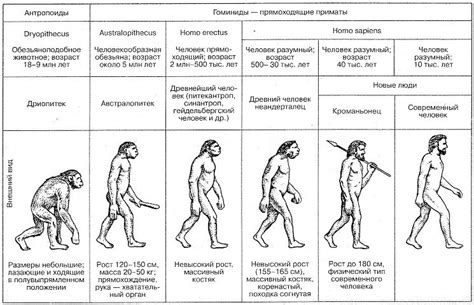 Появление первых людей