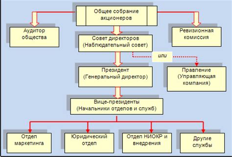 Права и обязанности акционеров ООО