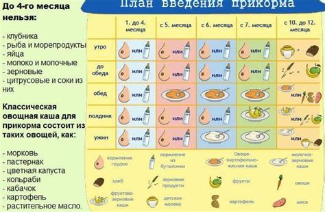 Правила введения прикорма при гв