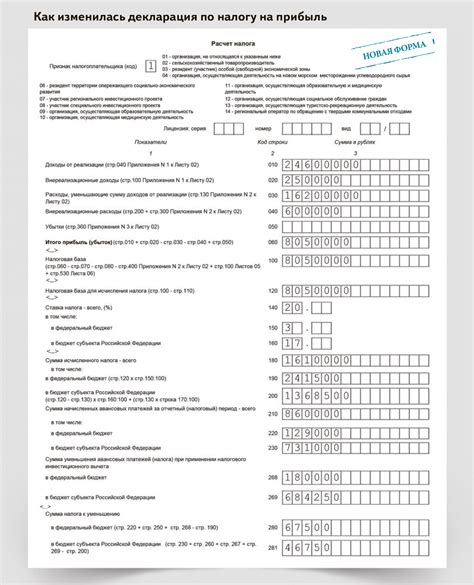 Правила заполнения декларации