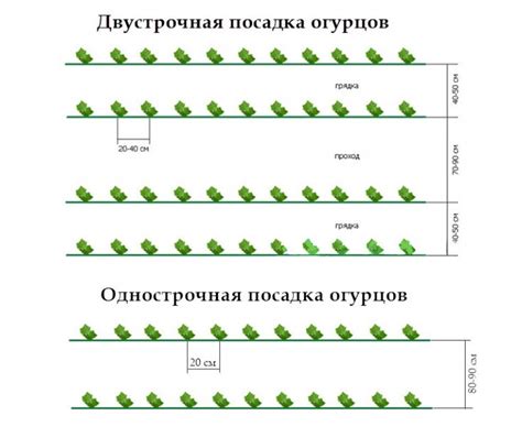 Правила посадки: расстояние и сроки