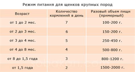 Правило №5: частота и время кормления