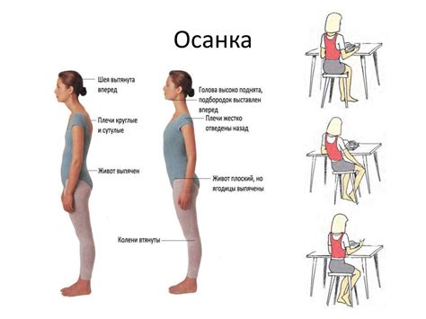 Правильная позиция и осанка при работе 