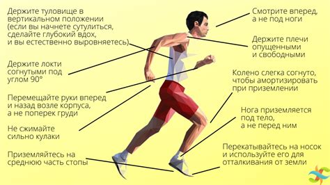 Правильная техника бега для достижения желаемого эффекта