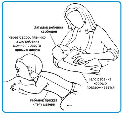 Правильная техника кормления