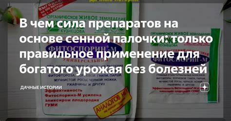 Правильное применение препаратов