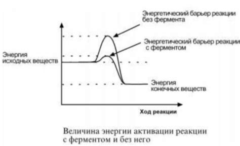 Практики и методики активации энергетического потенциала