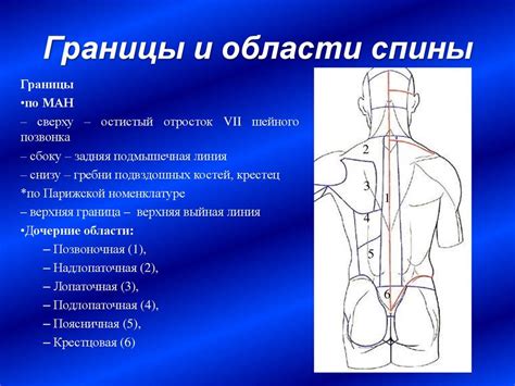 Предосторожности при массаже спины