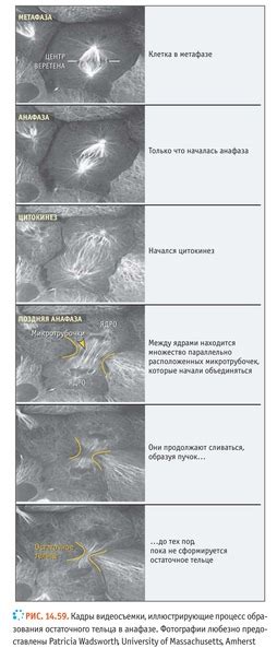 Предотвращение образования остаточного шрама