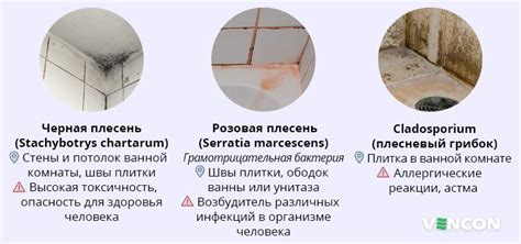 Предотвращение появления плесени и грибка в ванной: основные методы