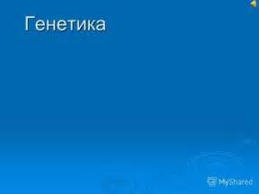 Предположения ученых о механизмах зависимости от энергетиков