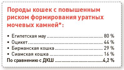 Предрасположенность некоторых пород к потере когтей