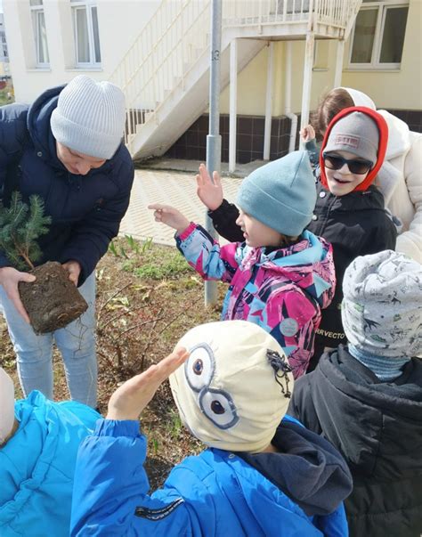 Предупреждение повреждений и сохранение саженца голубой ели