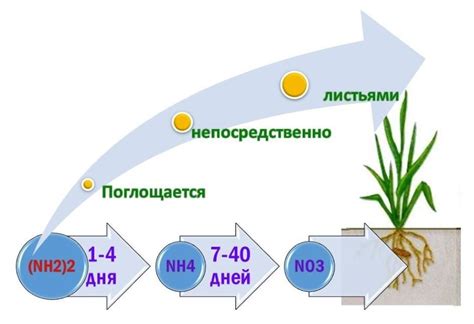 Преимущества замены мочевины мочеей