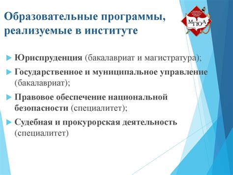 Преимущества изучения заочно в институте