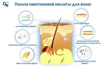 Преимущества использования никотиновой кислоты в шампуне