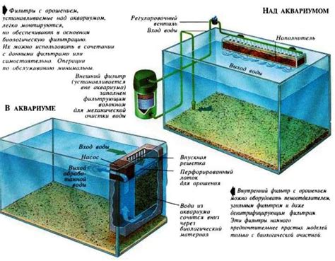 Преимущества и недостатки использования кипяченой воды в аквариуме