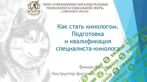 Преимущества и недостатки работы кинолога