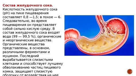 Преимущества и недостатки разбавленного желудочного сока