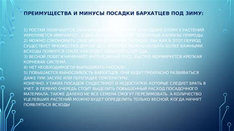 Преимущества и рекомендации по севу бархатцев в зиму