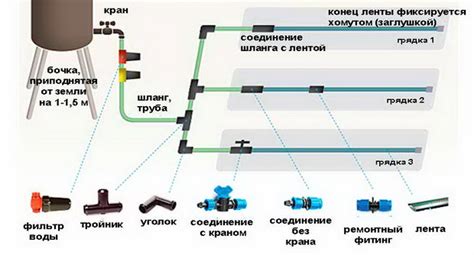 Преимущества капельного способа применения Данцила