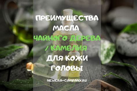 Преимущества масла чайного дерева для кожи