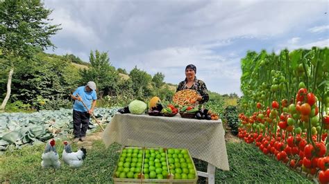 Преимущества перепахивания огорода на зиму