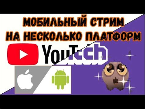 Преимущества подписки на несколько платформ одновременно