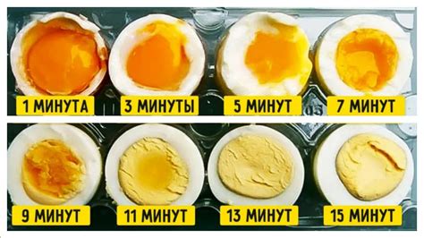 Преимущества приготовления яйца титана в домашних условиях