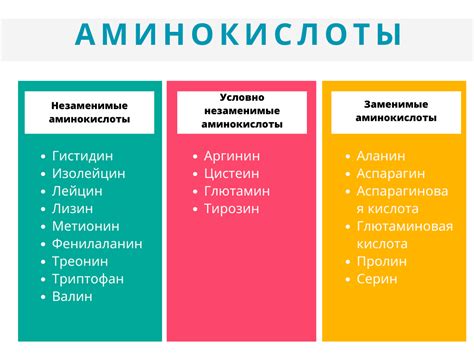 Преимущества растительного белка перед животным