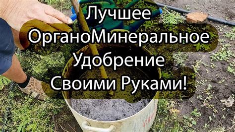 Преимущества удобрения из компостной ямы