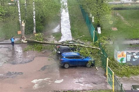 Прекрасные погодные условия скоро в Рязани