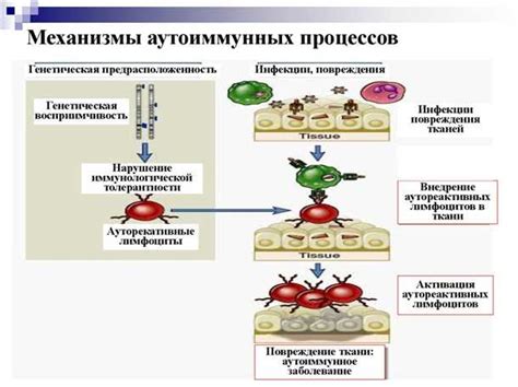 Прививки при аутоиммунных заболеваниях: