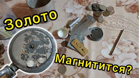 Привлекает ли золото поисковый магнит?