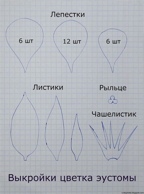 Придание объемности ромашке: расправление и изменение формы лепестков