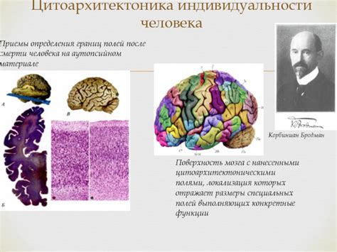 Приемы определения сотрясения мозга