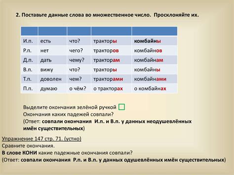 Признаки мужского рода в глаголах