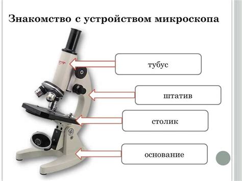 Применение в учебе