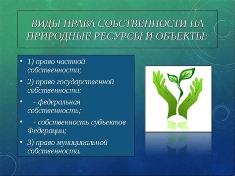 Примеры успешной реализации частной собственности на природные ресурсы