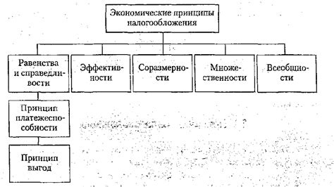 Принципы налогообложения в благотворительной деятельности