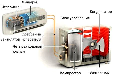 Принципы охлаждения тела