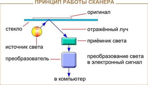 Принципы работы весов штрих