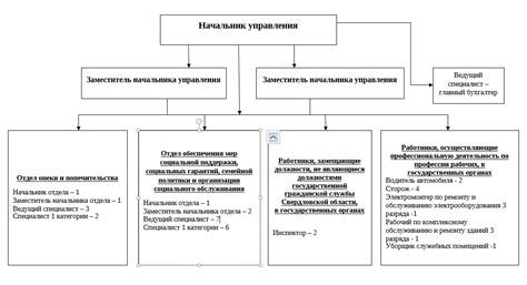 Принципы работы службы опеки