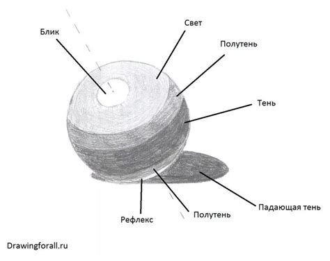 Принципы рисования карандашом