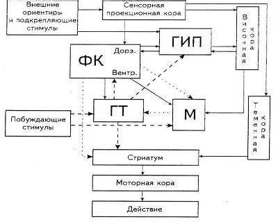 Принципы эмоциональной коммуникации